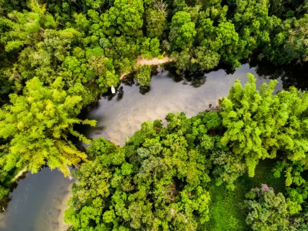 Amazon Basin, Brazil